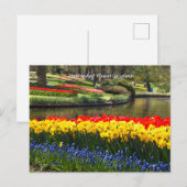 Keukenhof Bloementuinen Briefkaart (Voorkant / Achterkant)