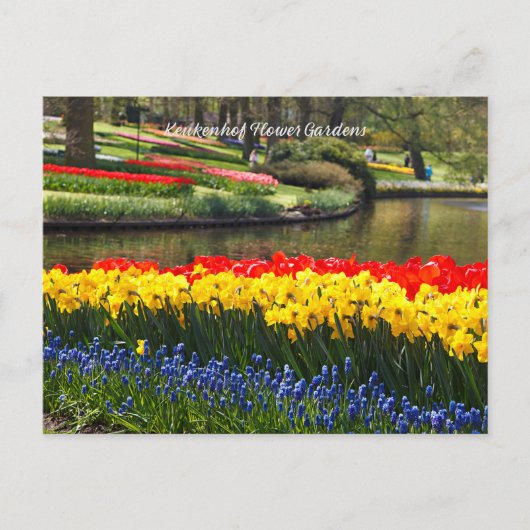 Keukenhof Bloementuinen Briefkaart (Voorkant)