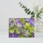Keukenhof Garden Hydrangea Briefkaart (Staand voorkant)