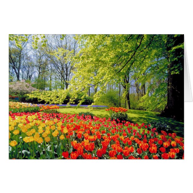 KEUKENHOF GARDENS (Voorkant Horizontaal)