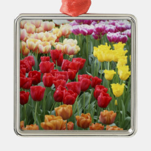 Keukenhof Gardens, Holland, gespecialiseerd in 2 Metalen Ornament