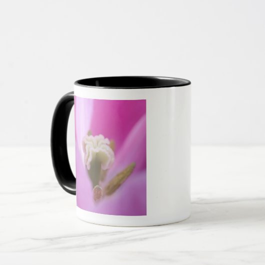 Keukenhof Gardens, Holland, gespecialiseerd in 3 Mok (Voorkant links)