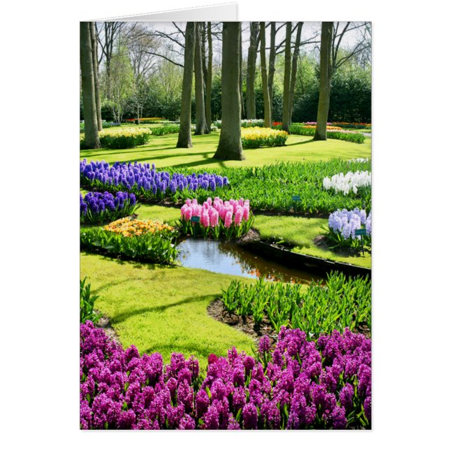 KEUKENHOF GARDENS LISSE HOLLAND (Voorkant)
