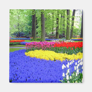 KEUKENHOF GARDENS LISSE HOLLAND MAGNEET