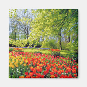 KEUKENHOF GARDENS LISSE HOLLAND MAGNEET