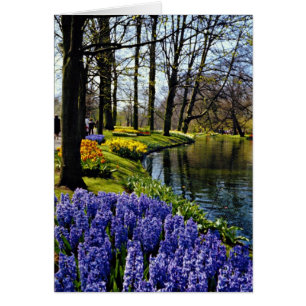 Keukenhof Gardens, Lisse, Nederlandse bloemen