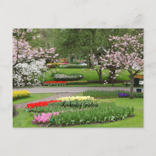Keukenhof Gardens, Nederland Briefkaart