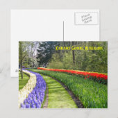 Keukenhof Gardens, Nederland Briefkaart (Voorkant / Achterkant)