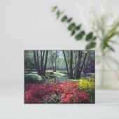 Keukenhof Gardens Netherlands, Sjabloon Briefkaart (Staand voorkant)