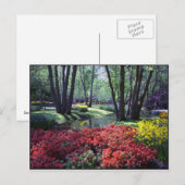 Keukenhof Gardens Netherlands, Sjabloon Briefkaart (Voorkant / Achterkant)
