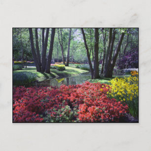Keukenhof Gardens Netherlands, Sjabloon Briefkaart