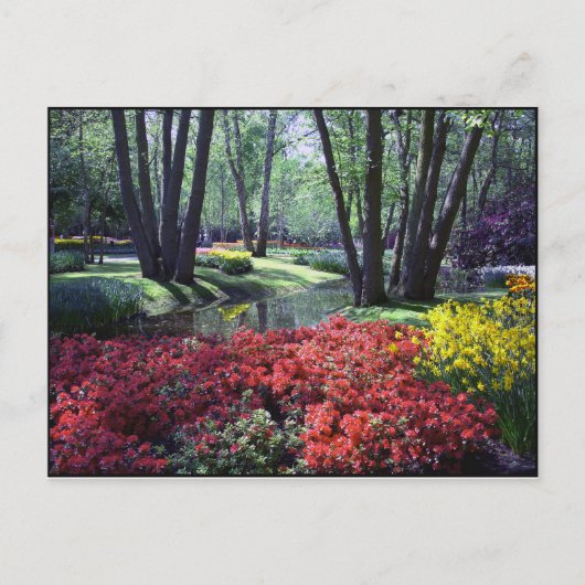 Keukenhof Gardens Netherlands, Sjabloon Briefkaart (Voorkant)
