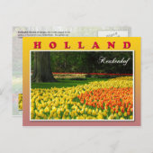 Keukenhof, Lisse, Nederland Briefkaart (Voorkant / Achterkant)