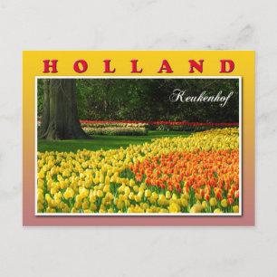 Keukenhof, Lisse, Nederland Briefkaart