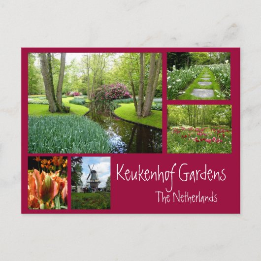 Keukenhof Tudens Collage Briefkaart (Voorkant)