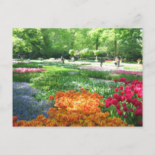 Keukenhof tuin - Holland briefkaart