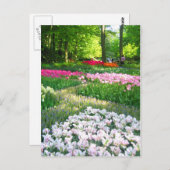 Keukenhof tuin - Holland briefkaart (Voorkant / Achterkant)