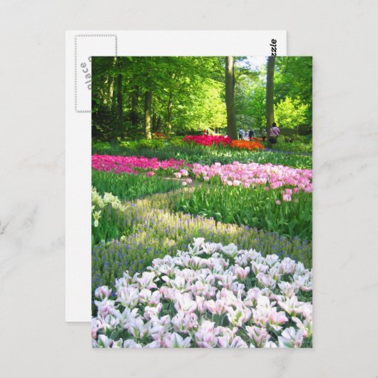 Keukenhof tuin - Holland briefkaart (Voorkant / Achterkant)