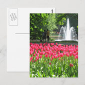 Keukenhof tuin - Holland briefkaart (Voorkant / Achterkant)
