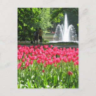 Keukenhof tuin - Holland briefkaart