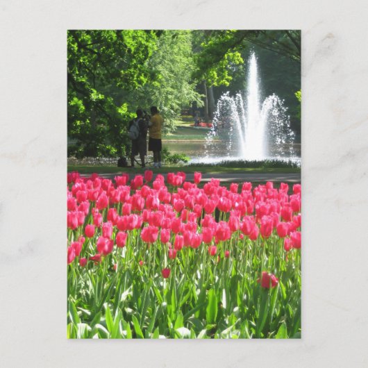 Keukenhof tuin - Holland briefkaart (Voorkant)