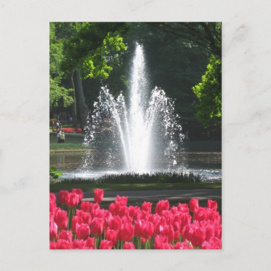 Keukenhof tuin - Holland briefkaart (Voorkant)