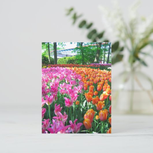 Keukenhof tuin - Holland briefkaart (Staand voorkant)