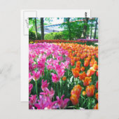 Keukenhof tuin - Holland briefkaart (Voorkant / Achterkant)