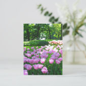 Keukenhof tuin - Holland briefkaart (Staand voorkant)