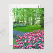 Keukenhof tuin - Holland briefkaart (Voorkant / Achterkant)