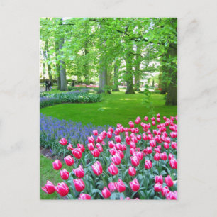 Keukenhof tuin - Holland briefkaart