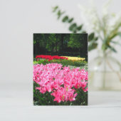 Keukenhof tuin - Holland briefkaart (Staand voorkant)