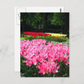 Keukenhof tuin - Holland briefkaart (Voorkant / Achterkant)