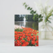 Keukenhof tuin - Holland briefkaart (Staand voorkant)