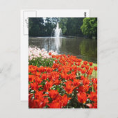 Keukenhof tuin - Holland briefkaart (Voorkant / Achterkant)