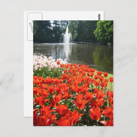Keukenhof tuin - Holland briefkaart (Voorkant / Achterkant)