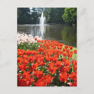 Keukenhof tuin - Holland briefkaart