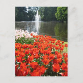 Keukenhof tuin - Holland briefkaart (Voorkant)