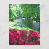 Keukenhof tuin - Holland briefkaart (Voorkant)