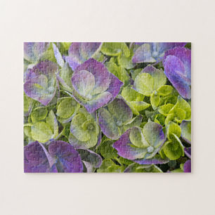 Keukenhof Tuin Hydrangea Legpuzzel