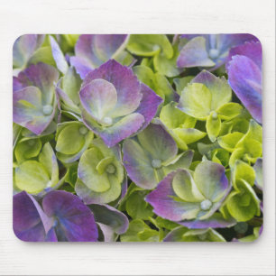 Keukenhof Tuin Hydrangea Muismat