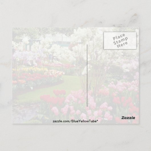 Keukenhof tuinen in Lisse, ten zuiden van Amster Briefkaart (Achterkant)