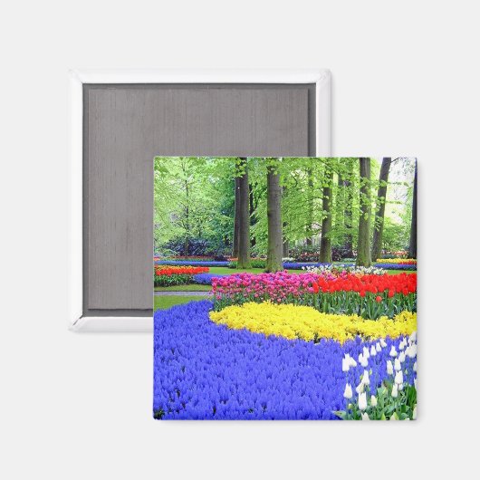 KEUKENHOF TUINEN, LISSE HOLLAND MAGNEET (Voorkant / Achterkant)