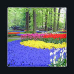 KEUKENHOF TUINEN, LISSE HOLLAND MAGNEET<br><div class="desc">KEUKENHOF TUINEN</div>