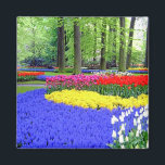 KEUKENHOF TUINEN, LISSE HOLLAND MAGNEET<br><div class="desc">KEUKENHOF TUINEN</div>