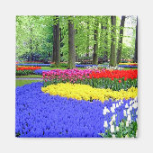 KEUKENHOF TUINEN, LISSE HOLLAND MAGNEET (Voorkant)