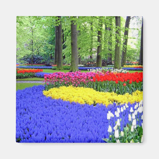 KEUKENHOF TUINEN, LISSE HOLLAND MAGNEET