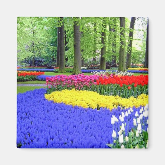 KEUKENHOF TUINEN, LISSE HOLLAND MAGNEET (Voorkant)