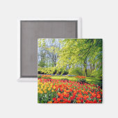 KEUKENHOF TUINEN, LISSE HOLLAND MAGNEET (Voorkant / Achterkant)