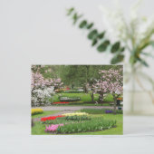 Keukenhof Tuinen, Nederland Briefkaart (Staand voorkant)